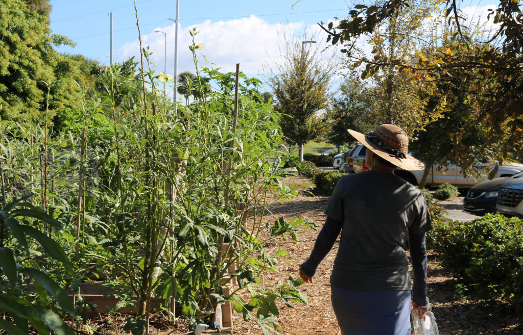 Robin Clemmons walks past a row of crops at Daystar Life Center.
